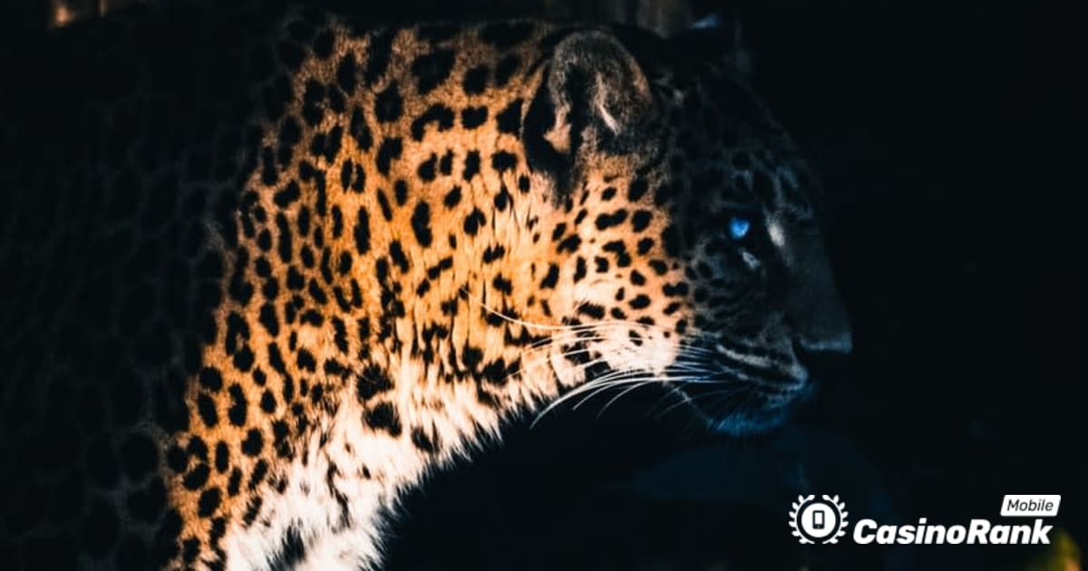 Yggdrasil Partners ReelPlay for å frigjøre Jaguar SuperWays fra Bad Dingo
